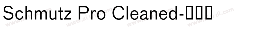 Schmutz Pro Cleaned字体转换